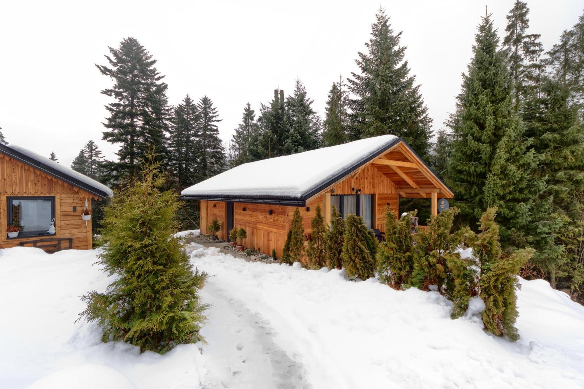 Domek Lesny Zakopane Exterior photo